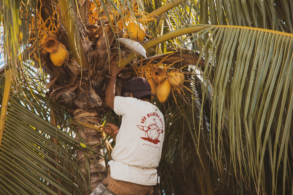 Camiseta Hijo del Coco