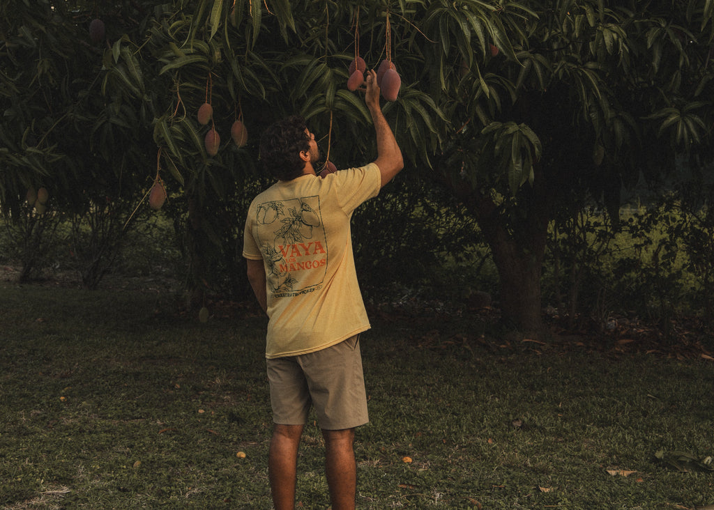Mangos 