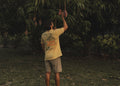 Mangos 