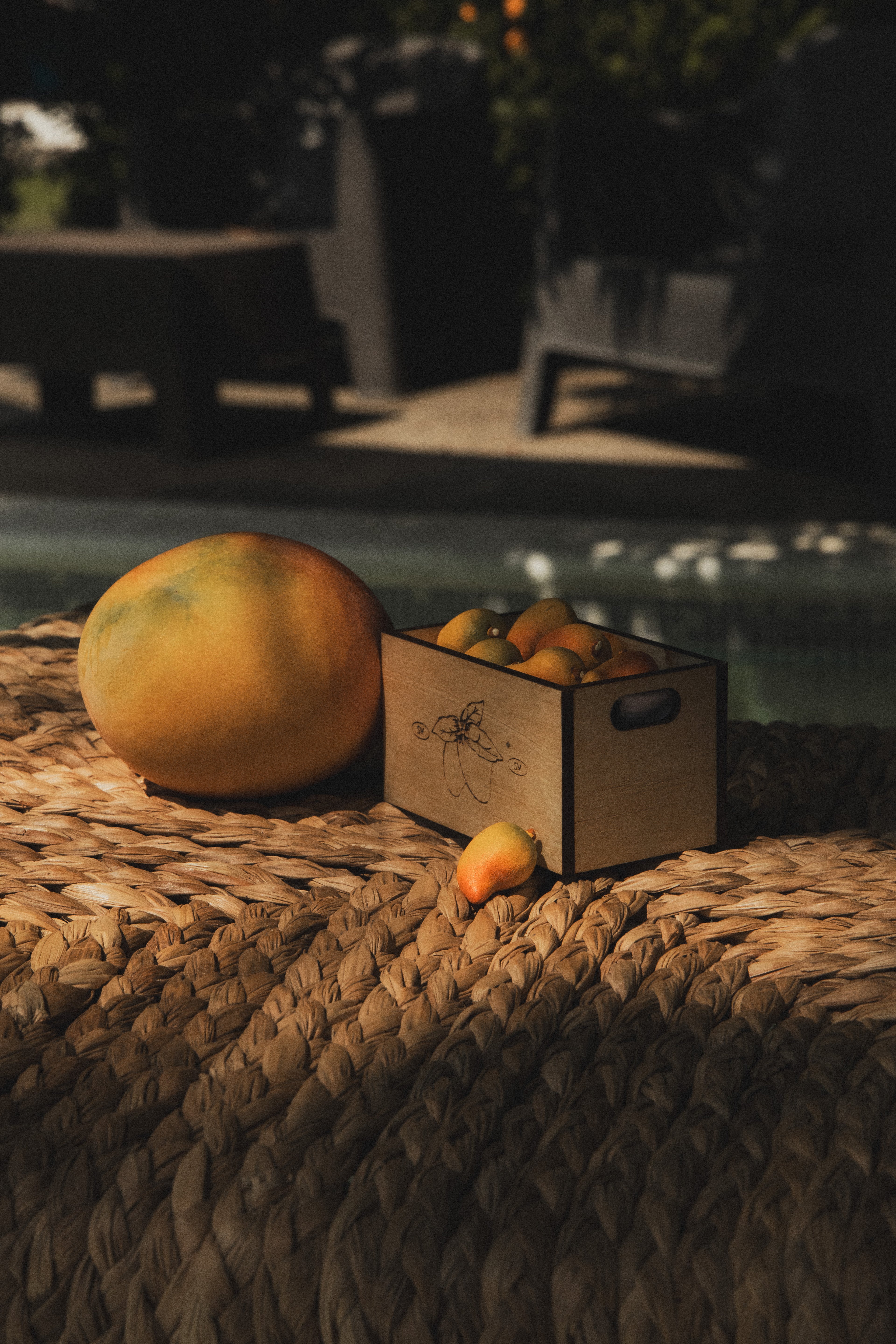 Cajita de Mangos