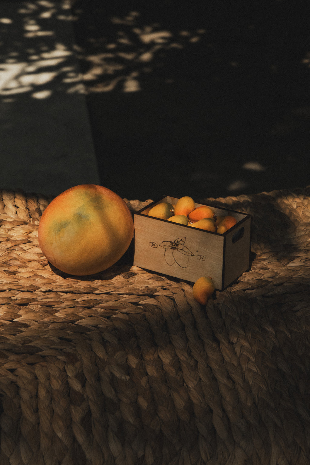 Cajita de Mangos