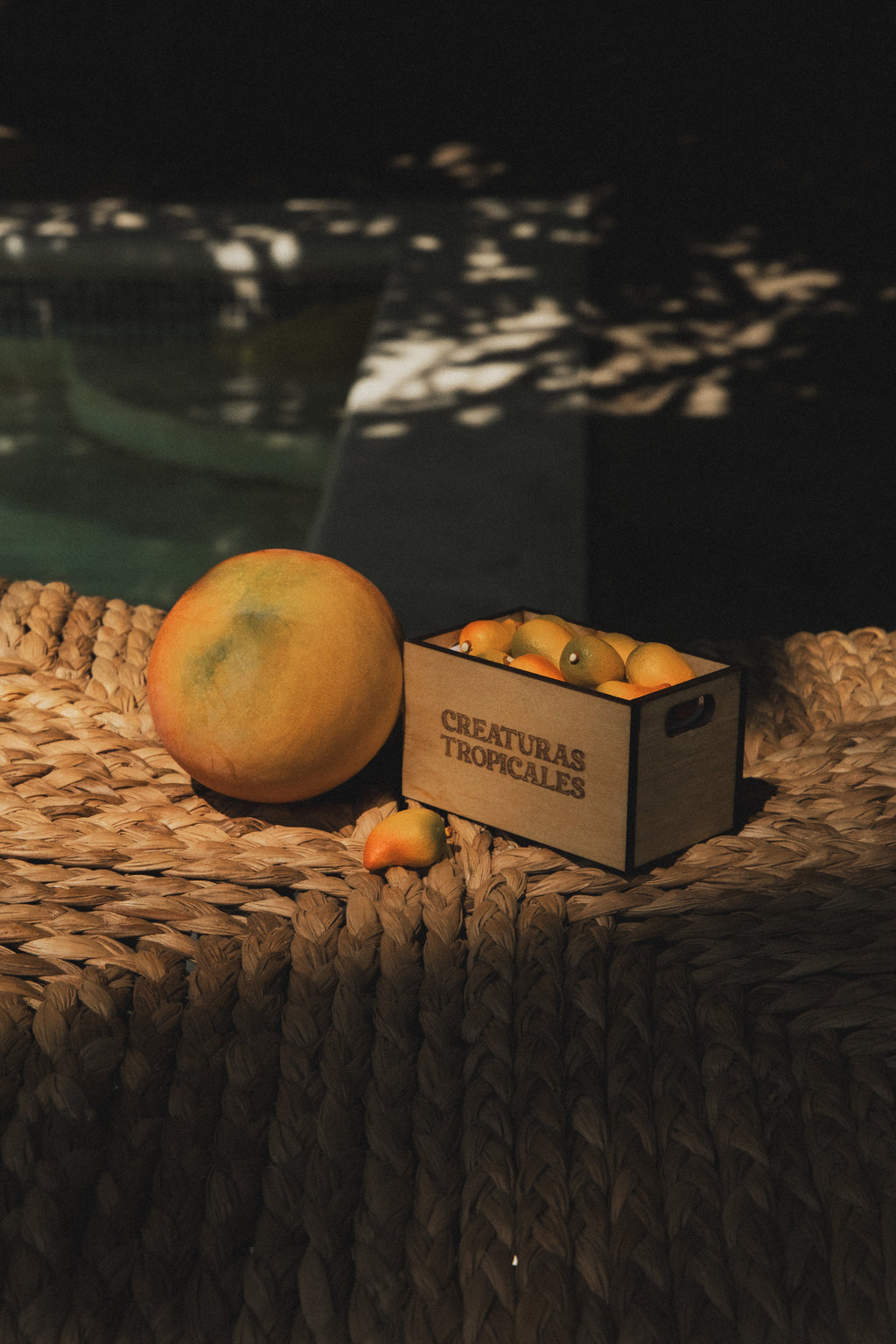 Cajita de Mangos