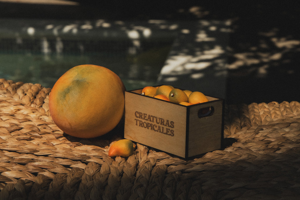 Cajita de Mangos