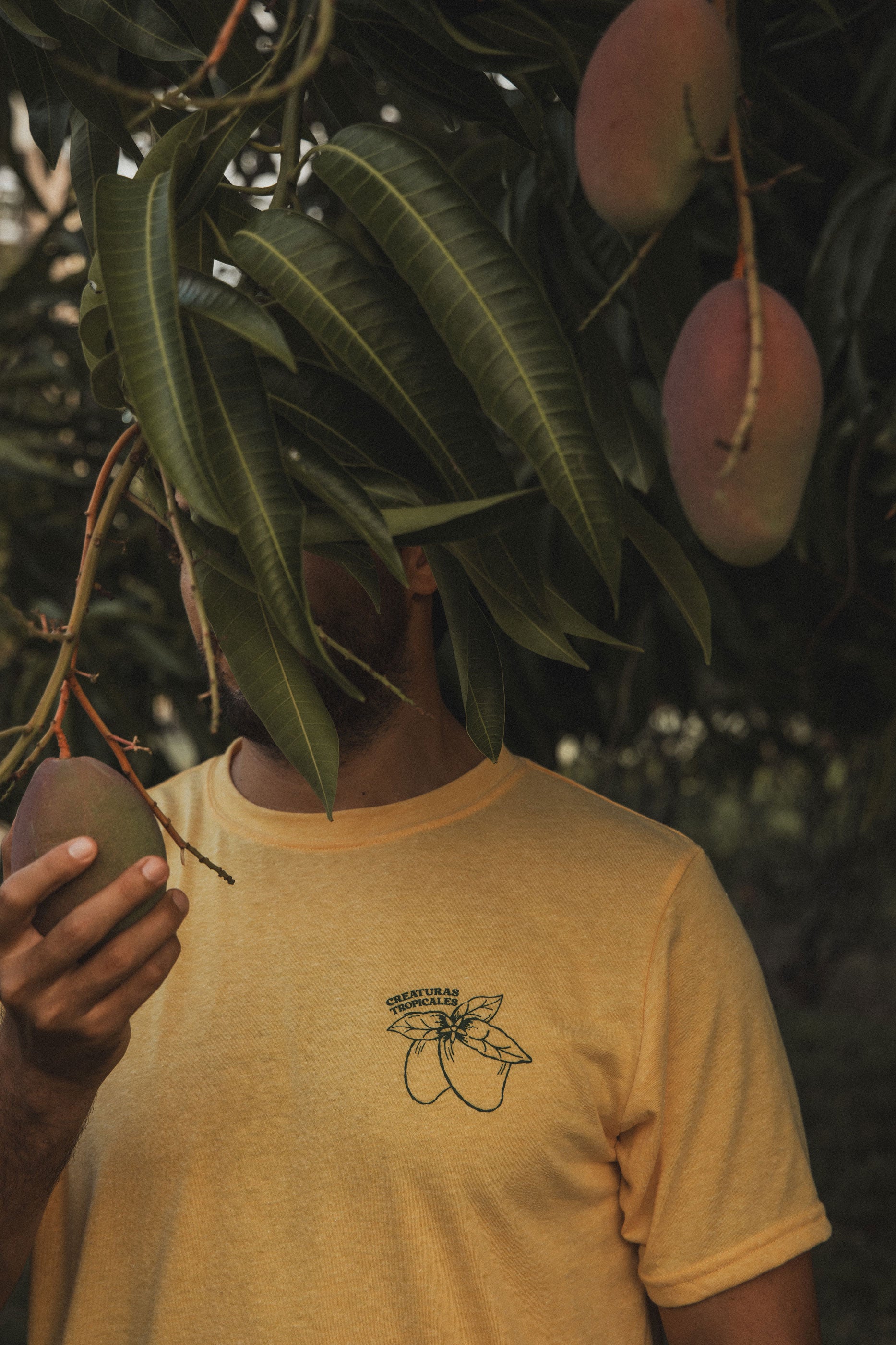 Vaya Los Mangos