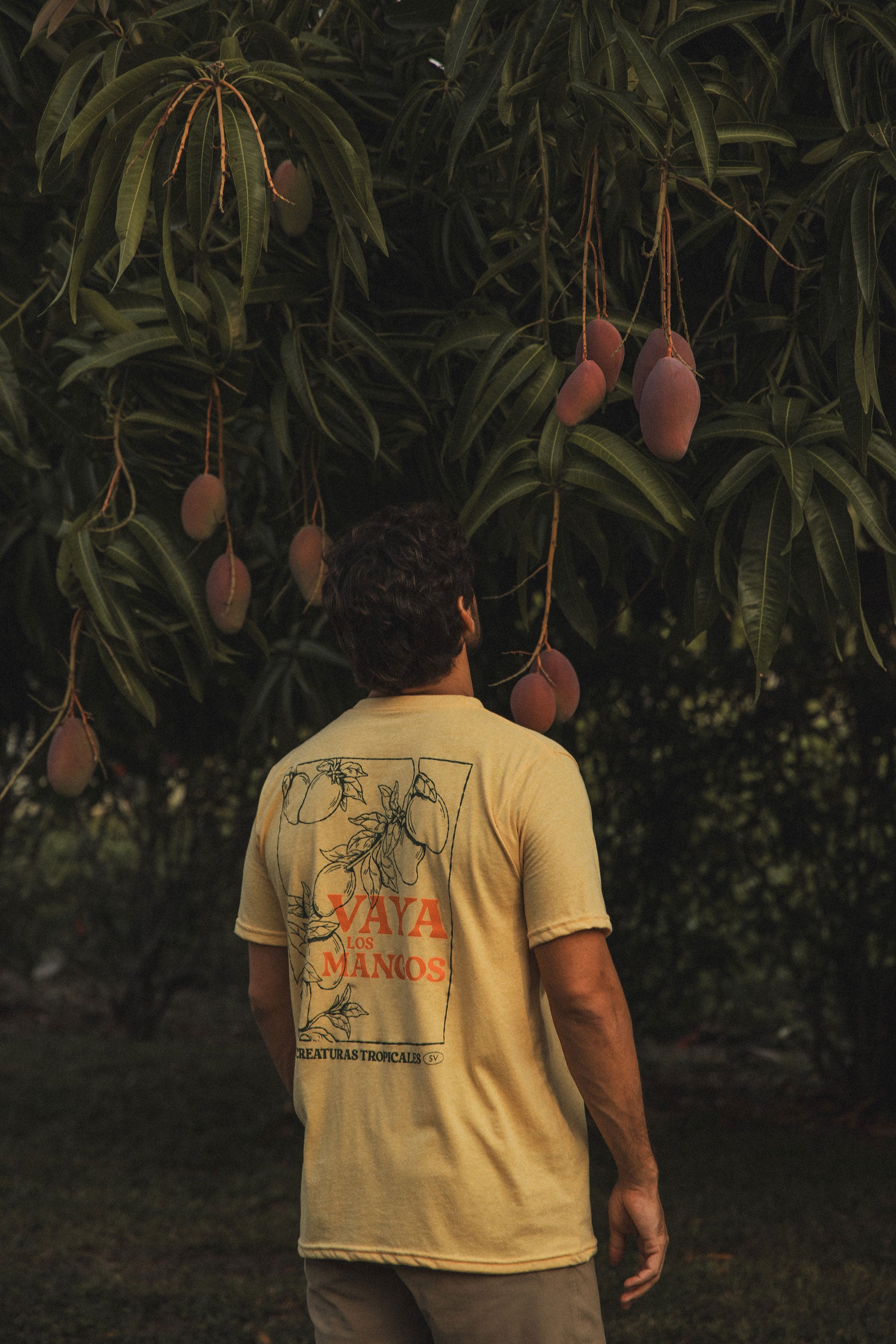 Vaya Los Mangos