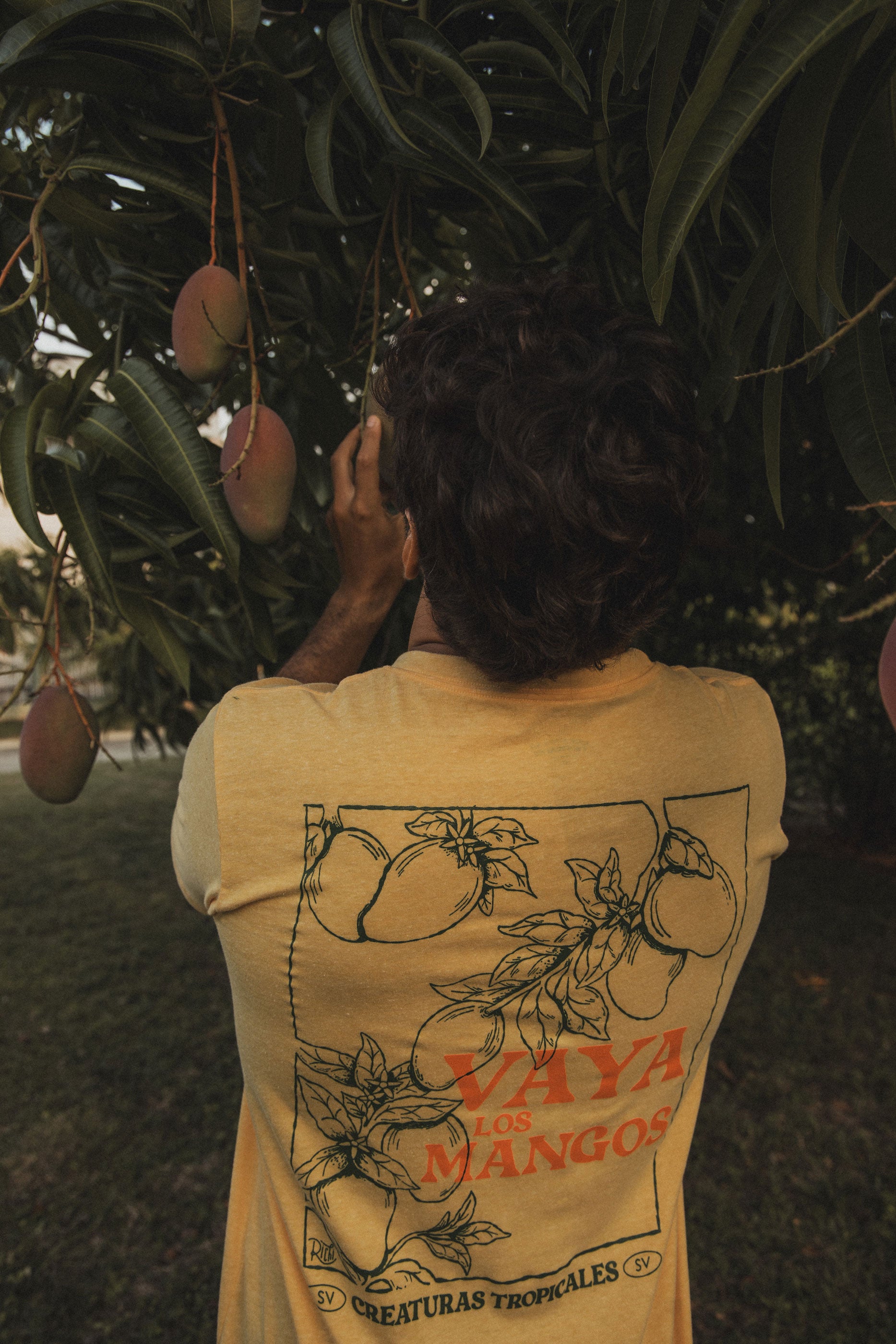Vaya Los Mangos